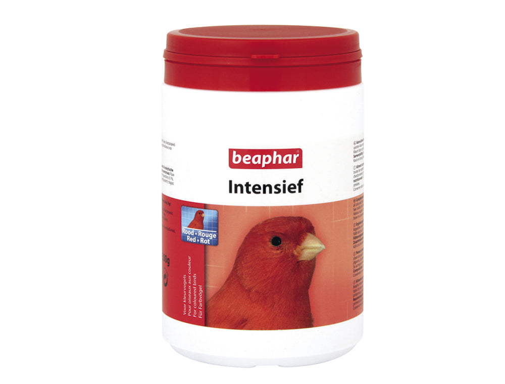 Bogena-Intensiv rot - 500g